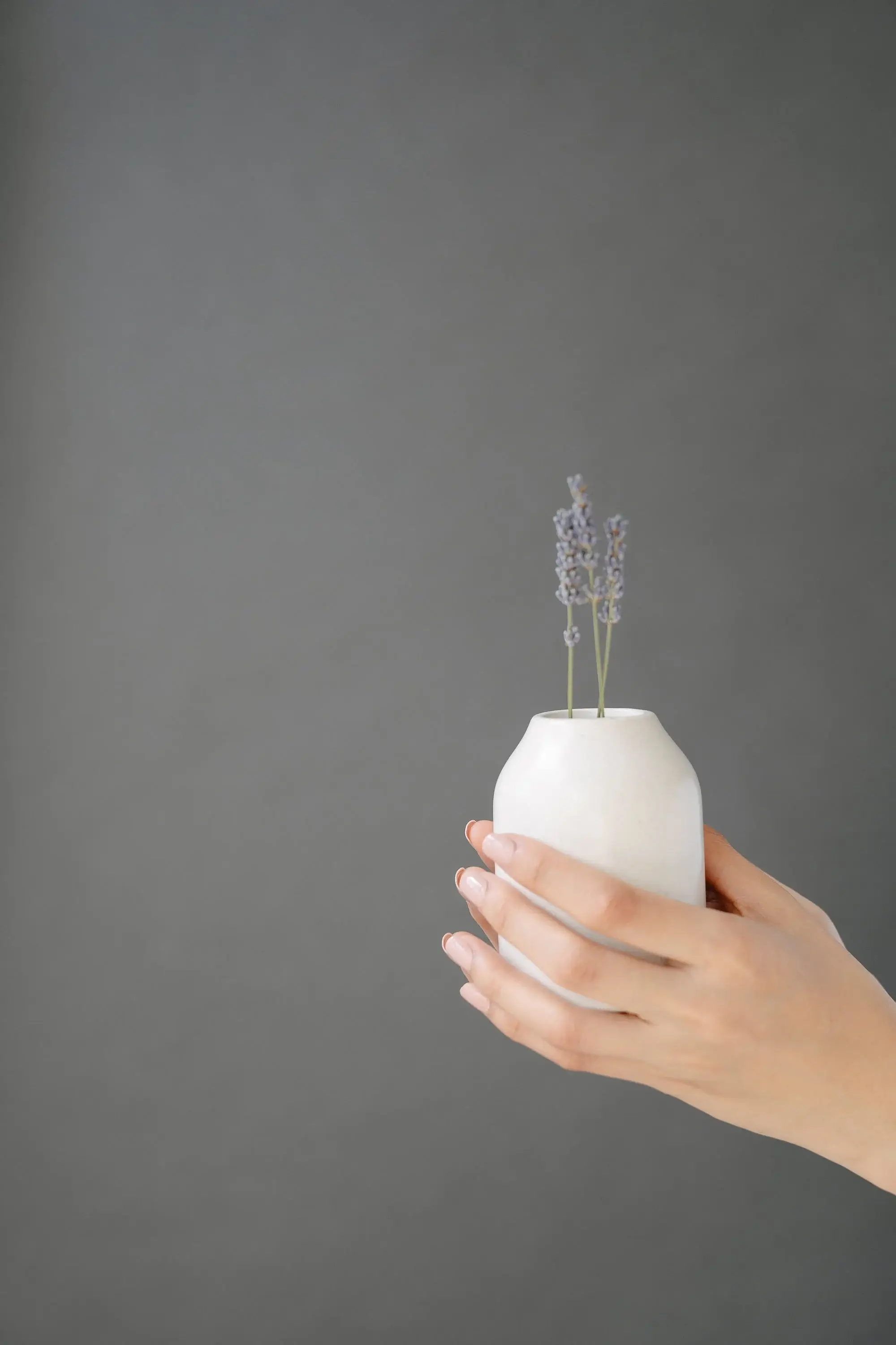 有关优雅的免费素材图片