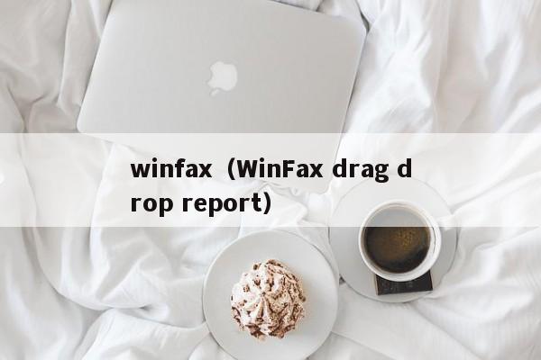 winfax（WinFax drag drop report）