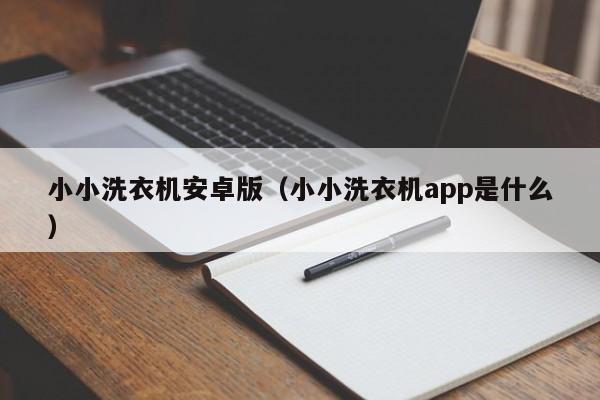 小小洗衣机安卓版(小小洗衣机app是什么)